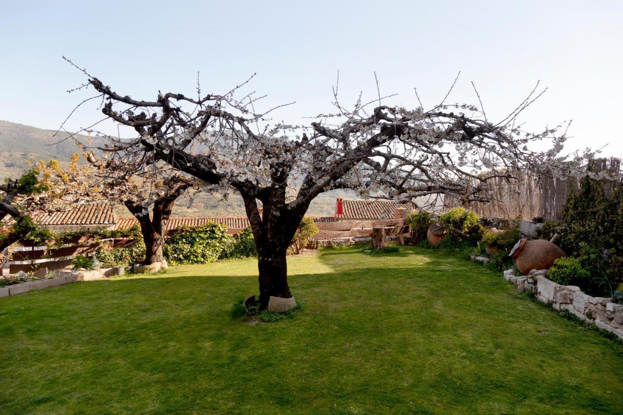 La Higuera Villa Villarejo del Valle Bagian luar foto